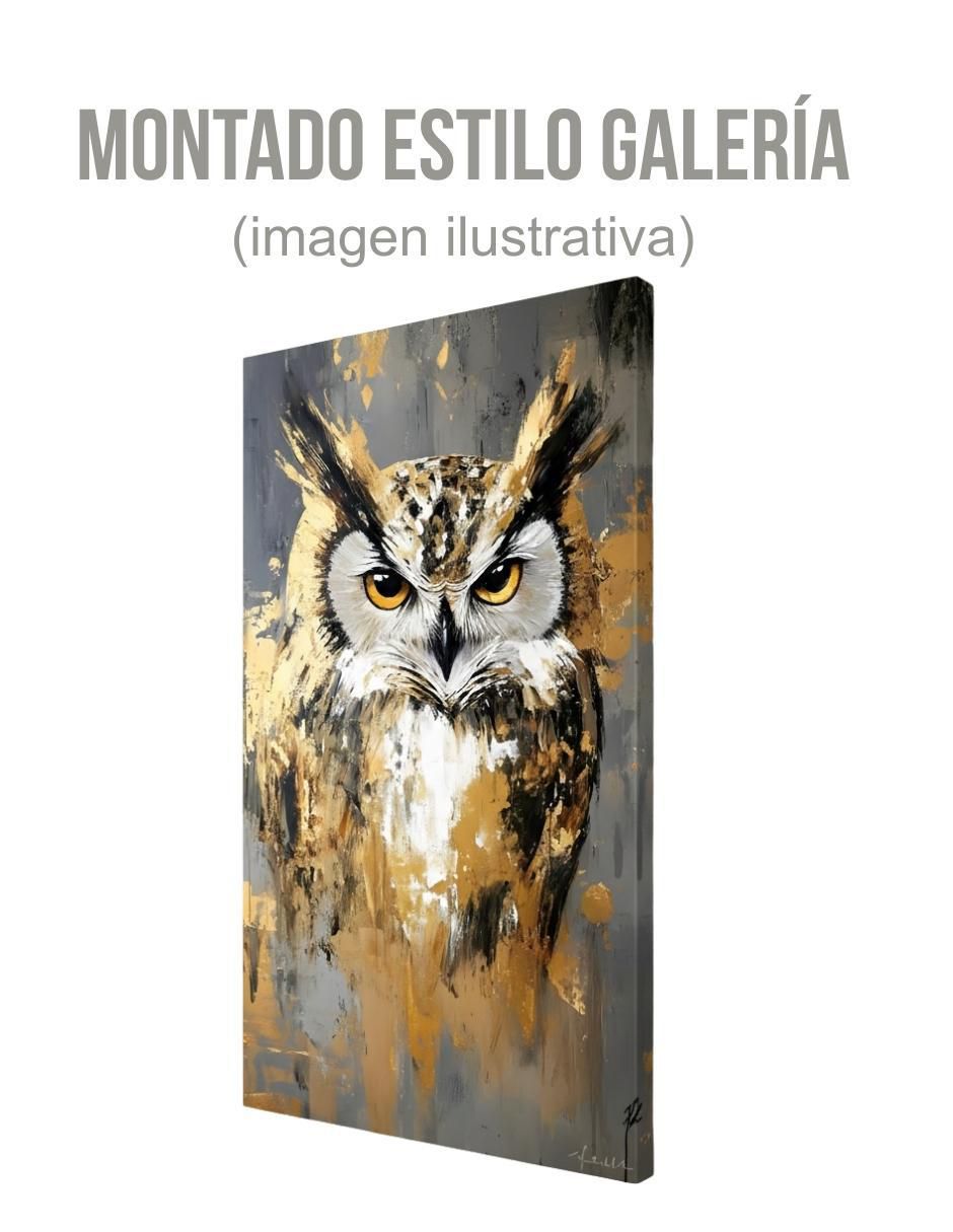 Cuadro decorativo Animal Búho 3