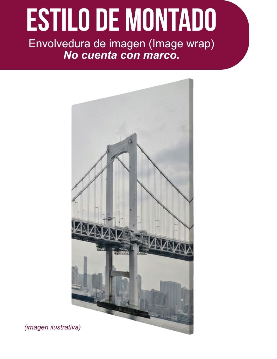Cuadro decorativo paisaje golden gate