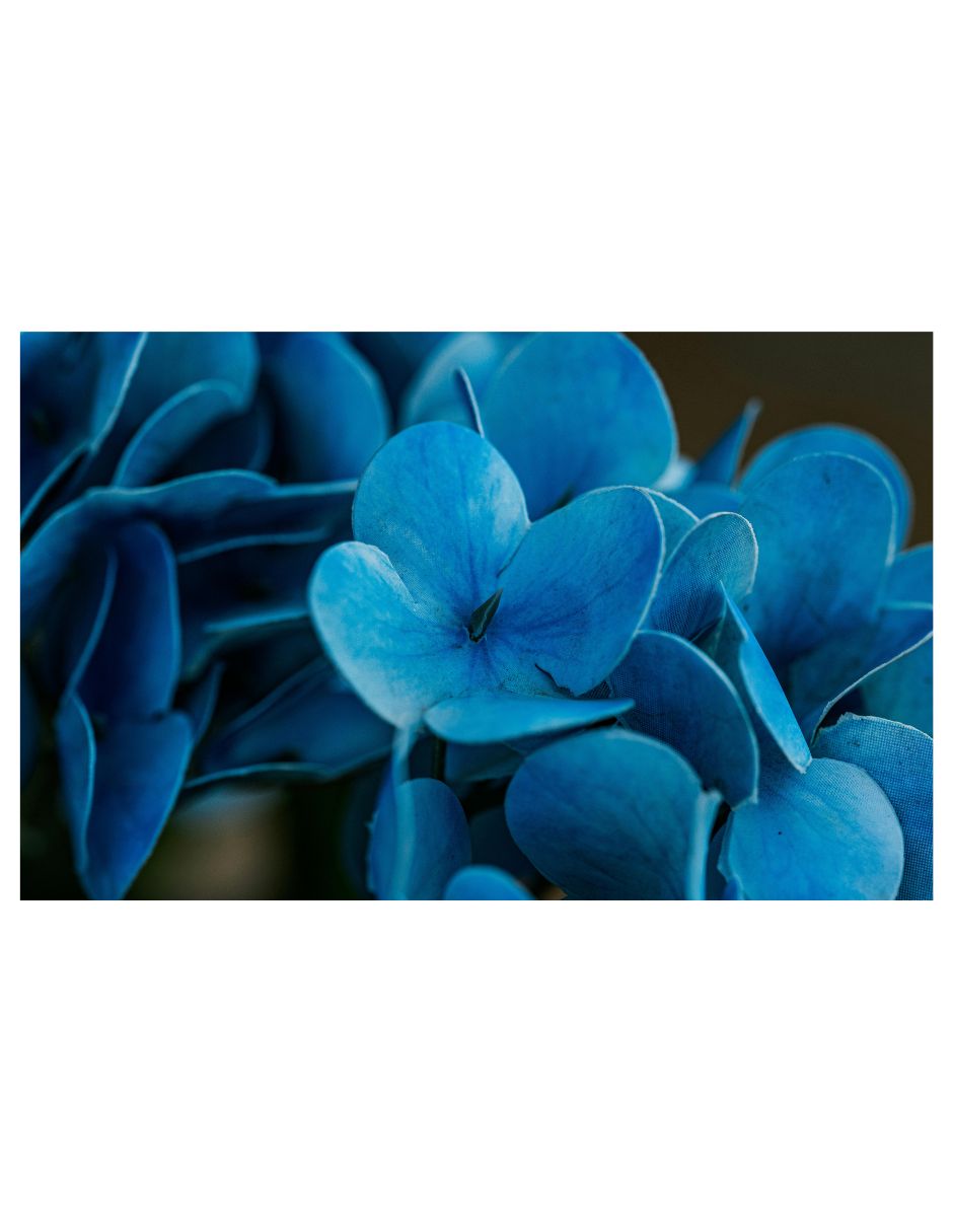 Cuadro decorativo