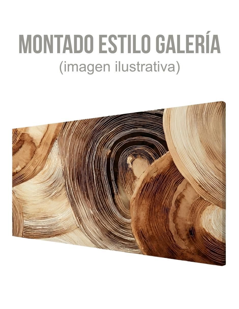 Cuadro decorativo Geométrico Anillos Orgánicos 70x100cm 3
