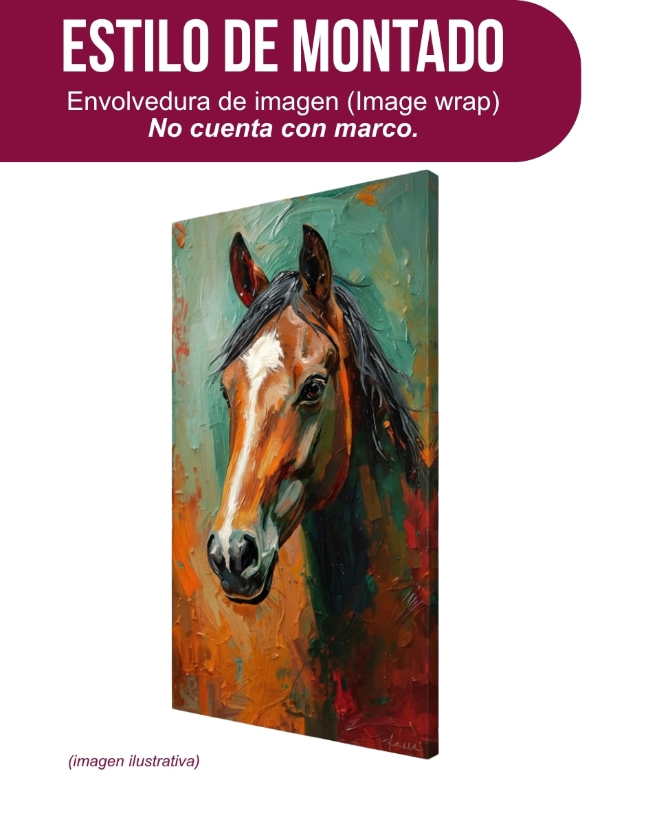 Cuadro decorativo Animal Caballo 2