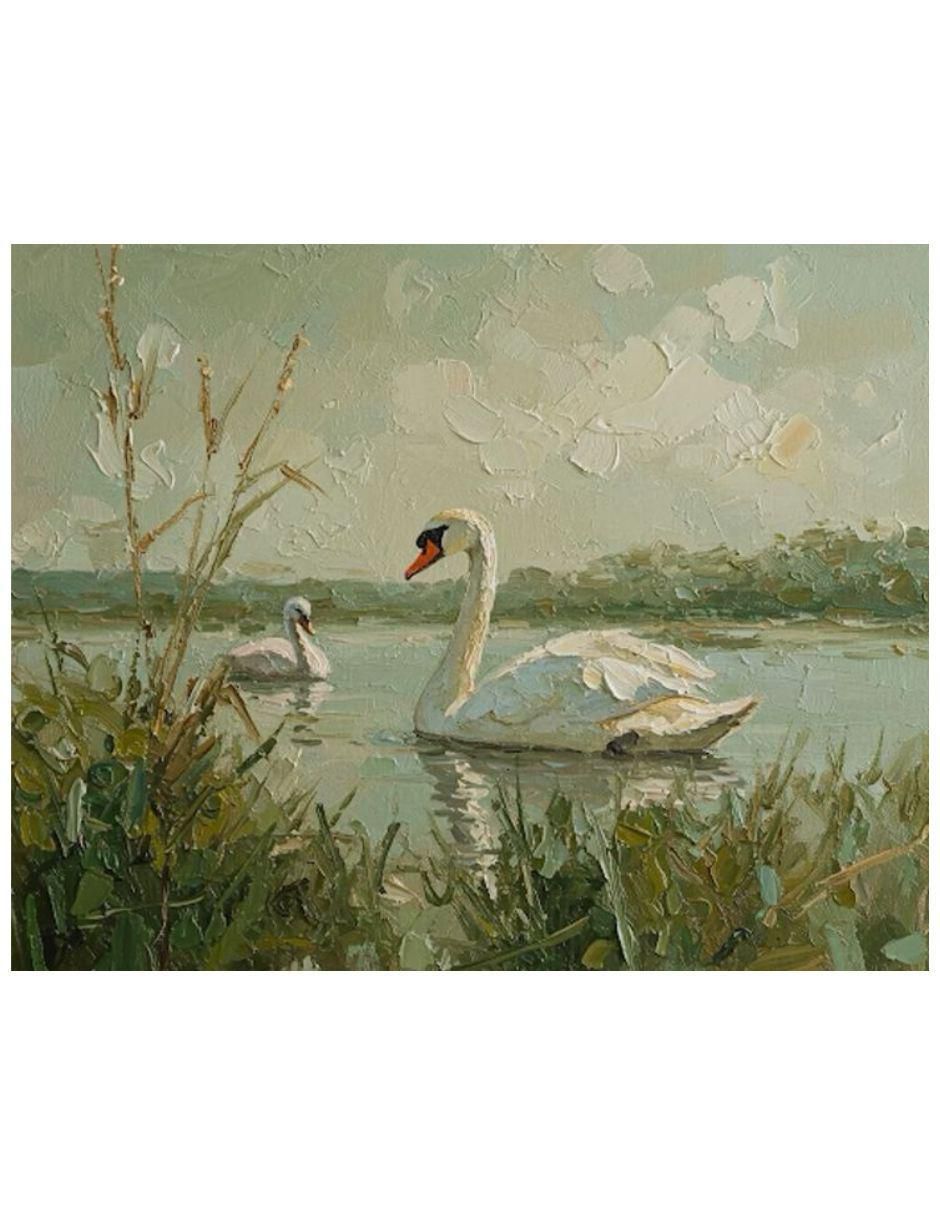 Cuadro decorativo Cisne Cuadro decorativo Cisne