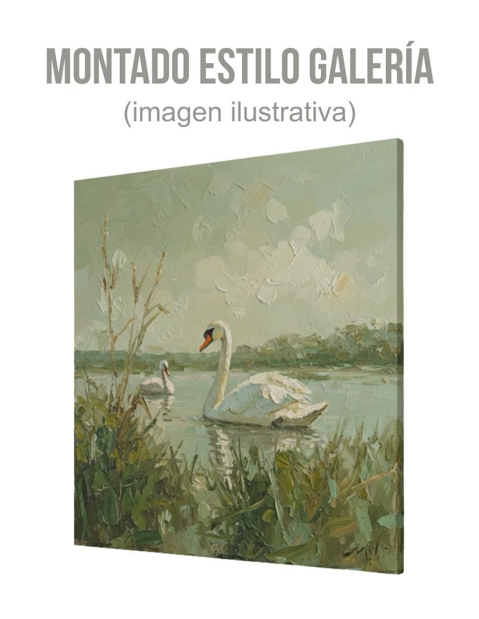 Cuadro decorativo Cisne