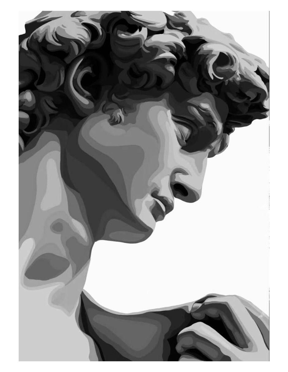 Cuadro decorativo El David Impreso Cuadro decorativo El David Impreso