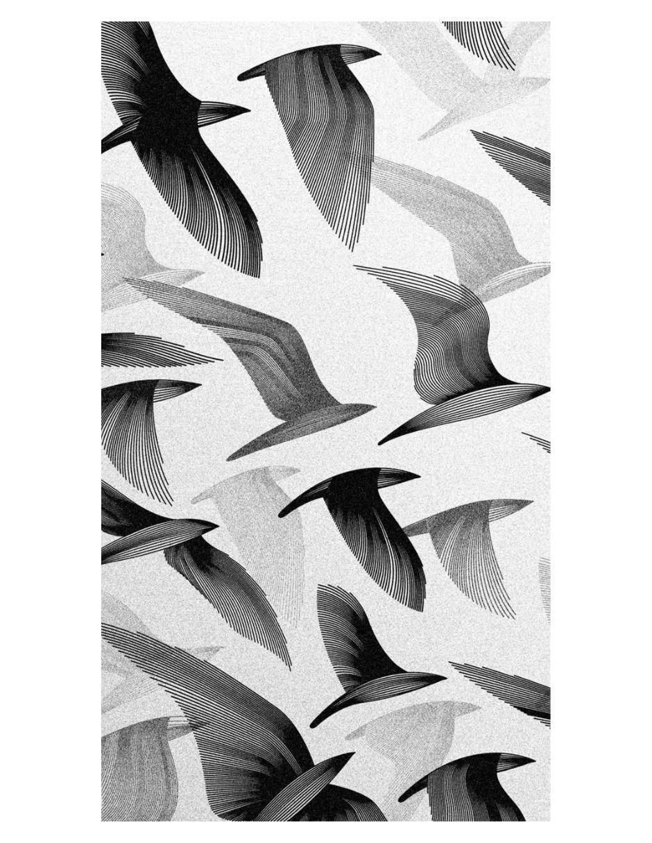 Cuadro decorativo Animales Abstracto Aves Negras Impreso