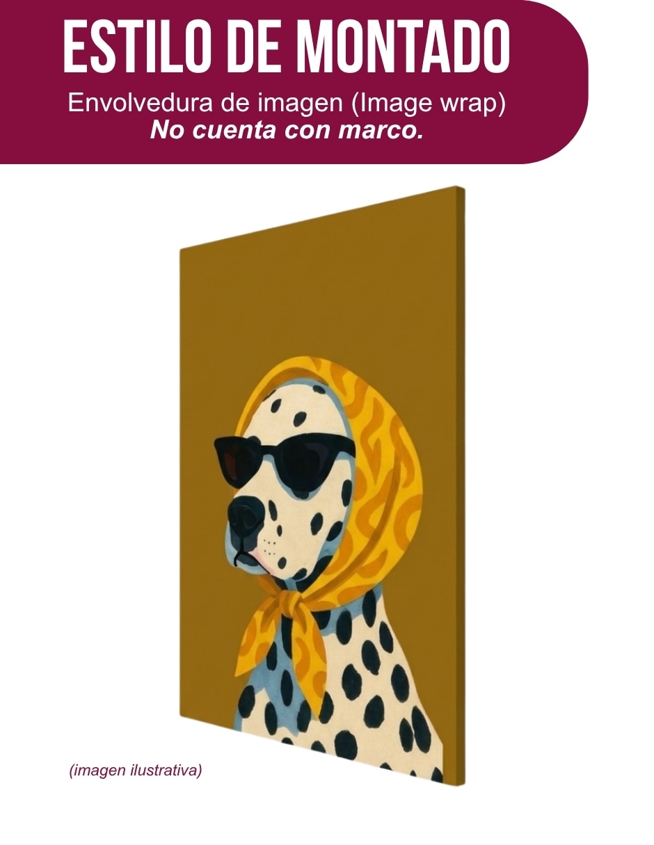 Cuadro decorativo generica impresión perro dalmata