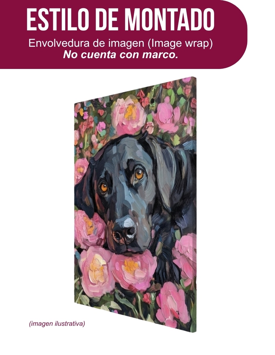 Cuadro decorativo impresión perro labrador 3