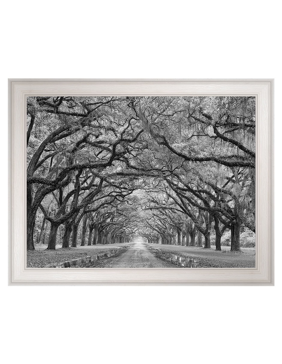 Accesorio decorativo Accesorio decorativo