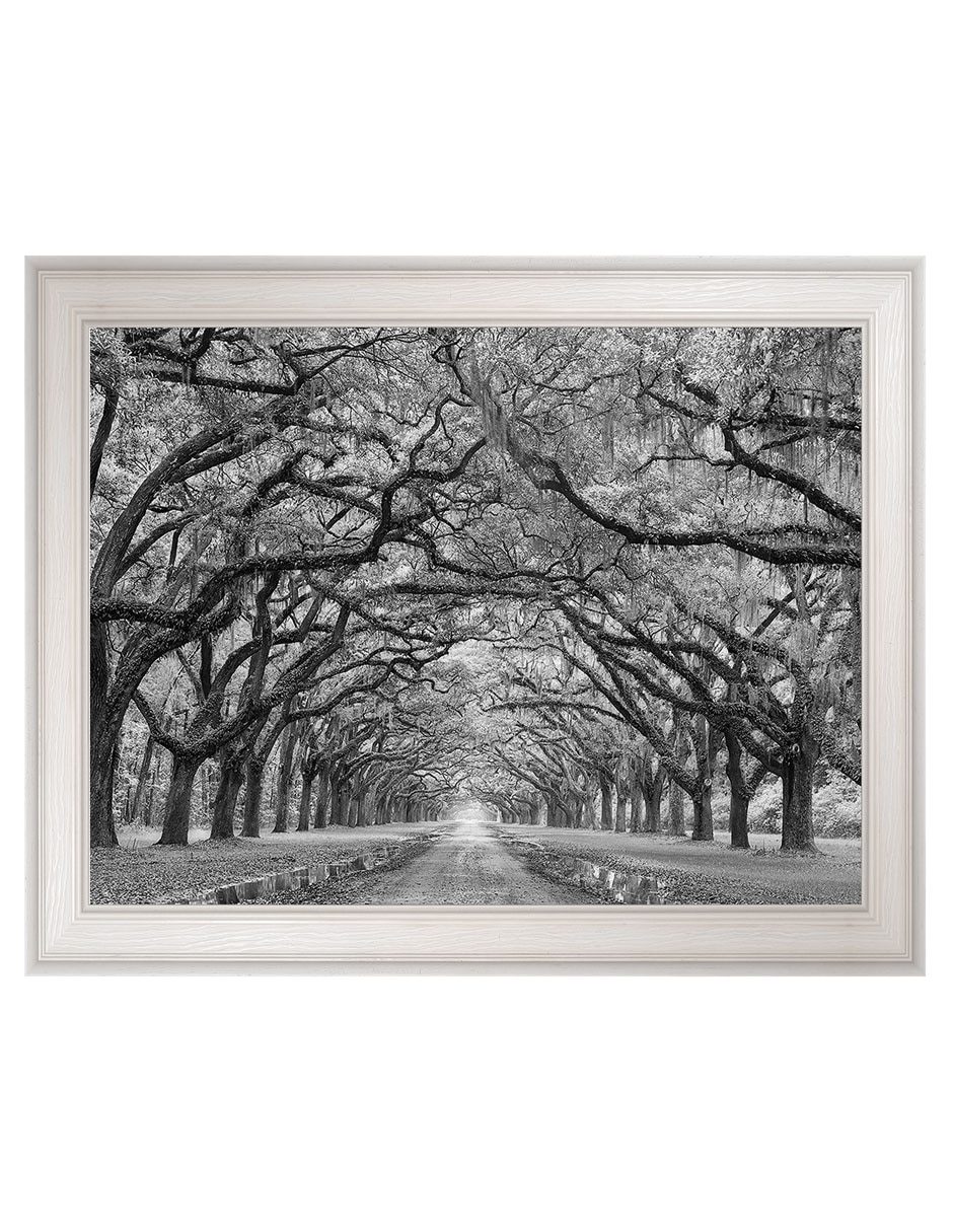 Accesorio decorativo Accesorio decorativo